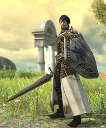 His Lady's Knight His Lady's Knight